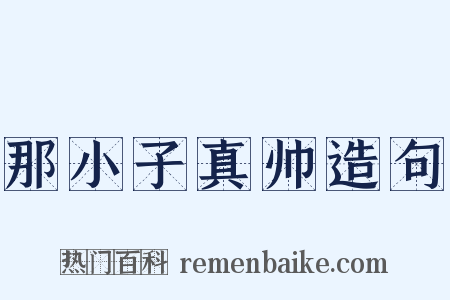 那小子真帅造句是什么意思的图片